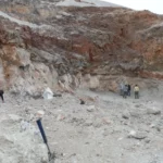 000716678W