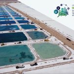 foro internacional de minería