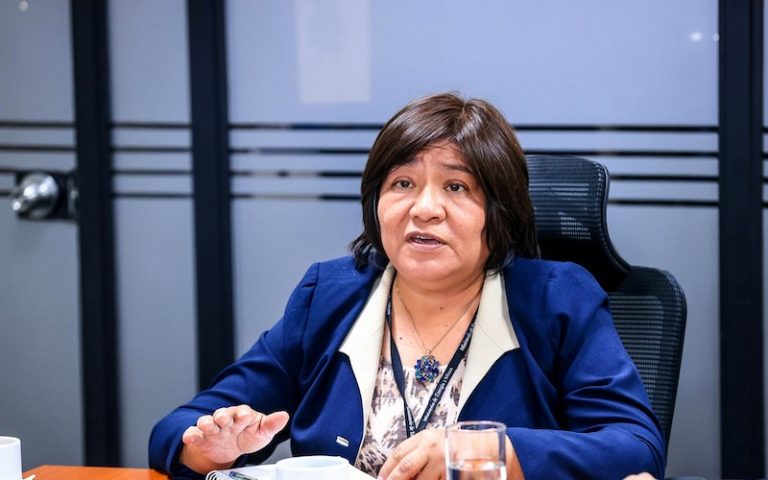 vicepresidenta de hidrocarburos