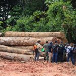Cooperación contra deforestación